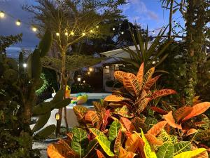 Fotografie z fotogalerie ubytování 大光畫莊庭院 v destinaci Hengchun Old Town