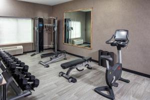 מרכז הכושר ו/או מתקני הכושר ב-Four Points by Sheraton Appleton