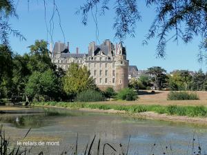 a large castle with a river in front of it at Le Relais de Mont in Faye-dʼAnjou