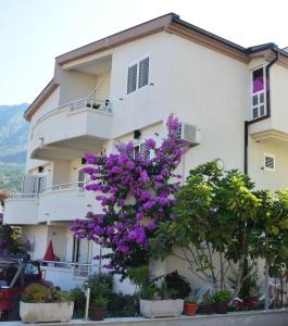 a building with purple flowers in front of it at Guest House Villa Alea in Dobra Voda