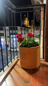 a pot of red flowers sitting on a window sill at Casa Laura Hotel & Suites in Cuenca +8 photos