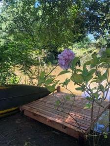 un ponte di legno con un fiore rosa di la casa en el rio a Tigre