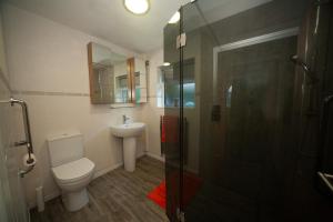 a bathroom with a toilet and a sink and a shower at Pheasant's Bank holiday cottage in Chapel en le Frith +18 photos