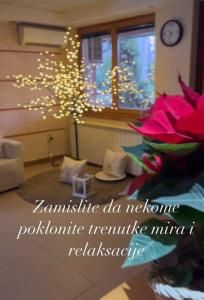 Fotografie z fotogalerie ubytování Hostel Stan Na Dan v destinaci Šabac