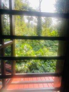 Zahrada ubytování Skyview homestay Devaramane