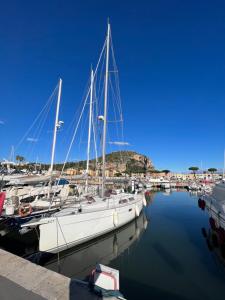 een groep boten aangemeerd in een haven bij Elisabeth Suite Apartment in Terracina