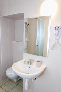 a bathroom with a sink and a toilet and a mirror at U Zeleného jalovce in Prague