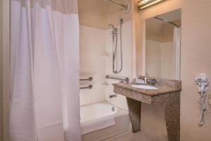a bathroom with a shower and a sink and a tub at Fairfield Inn Dulles Airport Chantilly in Chantilly +8 photos