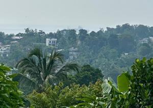 a view of a hill with trees and houses at Mount House Galle in Galle