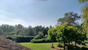 Zahrada ubytování B&B Lili's Tuin