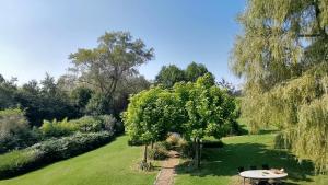 Zahrada ubytování B&B Lili's Tuin