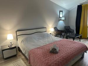 Postel nebo postele na pokoji v ubytování Ștefan House 1