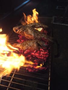 a group of three fish cooking in an oven at Greenbury Kite Hostel & Restaurant in Kalpitiya
