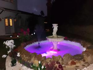 a fountain in a yard at night with purple lights at Villa Tranquilla in Estepona