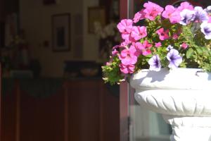 a white vase with pink flowers in it at Hotel Bel Sogno in Rimini