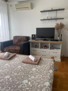 ein Wohnzimmer mit Flachbildfernseher und Couch in der Unterkunft APARTMAN RODA in Čačak