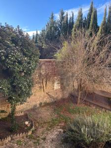 Κήπος έξω από το Le Cerisier au cœur d'Uzès +5 φωτογραφίες