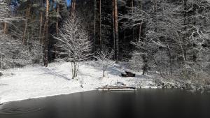 Fotografie z fotogalerie ubytování Apartamenty Jezioro i Las Mazury v destinaci Powałczyn