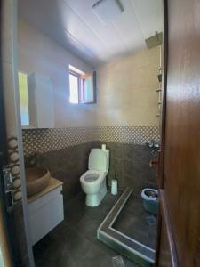 a bathroom with a toilet and a sink at Your Cottage in Borjomi +12 photos