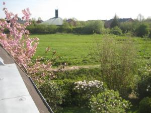 um jardim com flores cor-de-rosa e um campo verde em Haus Buttgereit em Büsum