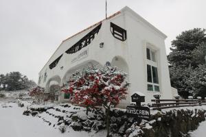 Guesthouse Kim's Cabin saat musim dingin