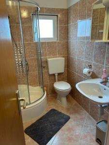 a bathroom with a toilet and a shower and a sink at Apartman Viktoria in Vir +17 photos
