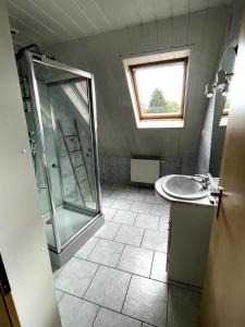 a bathroom with a shower and a sink at Appartement Betschdorf Cité des potiers in Oberbetschdorf
