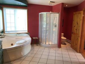 Saint Aime Des LacsChalet des aviateurs的带淋浴和浴缸的大浴室 更多19张照片