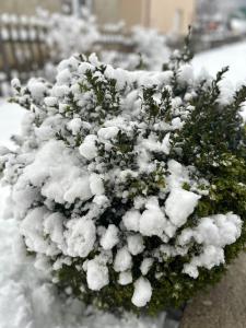 L'établissement Nest for rest en hiver
