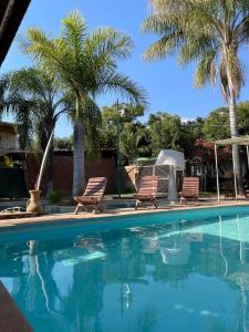 a swimming pool with two chairs and palm trees at Malíbungalows Departamento in Malinalco