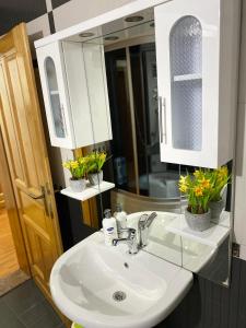 Ένα μπάνιο στο Apartman Nikola