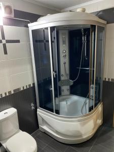 Ένα μπάνιο στο Apartman Nikola