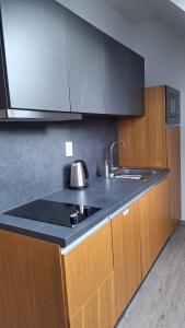 Køkken eller tekøkken på Jane's Resort Studio by Tatralandia & Lake + 49 billeder