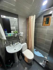 a bathroom with a sink and a toilet and a shower at Villa Sun Valley in Bakuriani