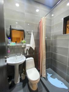 a bathroom with a toilet and a sink at Villa Sun Valley in Bakuriani +54 photos