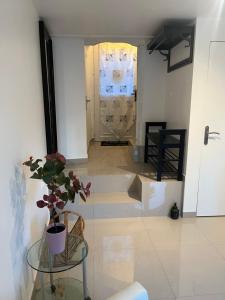 a hallway with a glass table and a door with a plant at Haut villa Les Tilleuls 95 m2 7 pers in Carros +70 photos