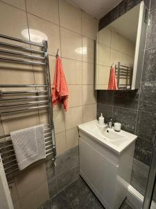 a bathroom with a sink and a shower and a mirror at Shard room in London