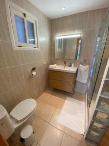 アロナにあるApartment Jasmine Los Cristianos, heated poolのトイレ、洗面台、鏡を備えたバスルーム