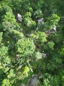 an overhead view of a forest of trees and bushes at Villa Kagueban in San Vicente