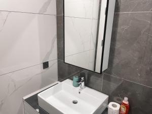 a bathroom with a white sink and a mirror at Sky Suites-KASS Towers in Okponglo