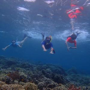a group of people swimming in the ocean at Umah Kayu 2-Menjangan Homestay in Banyuwedang