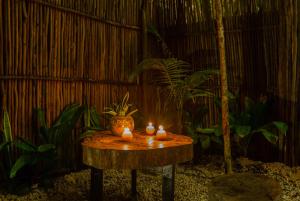 Galeriebild der Unterkunft Executive Unit In Gated Community In Aldea Zama in Tulum