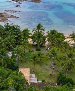 塞古罗港Casa sereníssima的棕榈树和海洋的度假村鸟瞰图