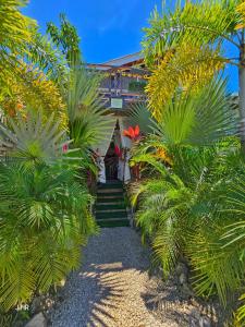 Zahrada ubytování BellaVista Suites By Villas Verdes - Samara Beach