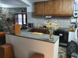 a kitchen with a counter with a vase of flowers on it at Casa Iris Cunqueiros in Sobreira Formosa +107 photos