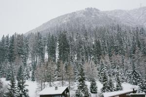 einen schneebedeckten Berg mit einem Haus und Bäumen in der Unterkunft Hotel & Restaurant Zum Schwarzen Bären in Andermatt