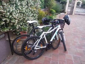 ein Fahrrad wird neben einem Busch geparkt in der Unterkunft Apartments Daniela in Novigrad Istria