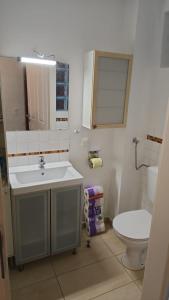 图尔恩Julis Appartement 1 in 3430 Tulln的带水槽和马桶的浴室