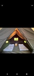 Fotografie z fotogalerie ubytování Rooftop budget tent v destinaci Colonelganj