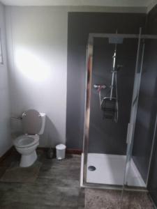 e bagno con servizi igienici e cabina doccia. di Chez Qaeko a Lifou Altre 10 foto